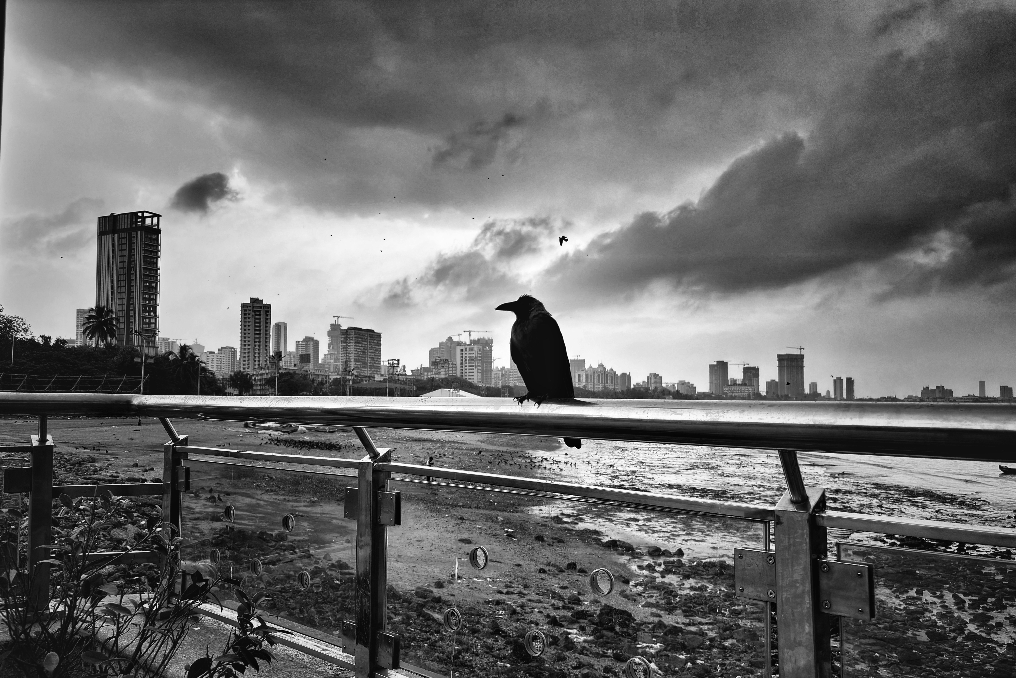 Street Photography Black & White 35